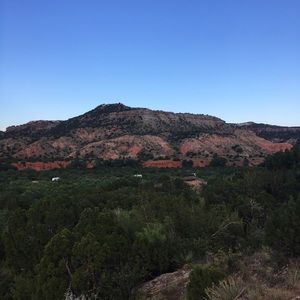 Meet your Posher, Paige